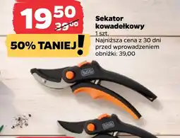 Netto Sekator oferta
