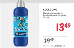 Rossmann Płyn do płukania tkanin Passion Flower & Bergamot oferta