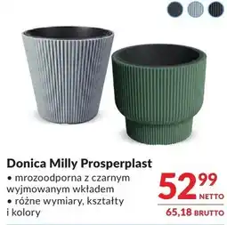 Makro Donica Milly Prosperplast różne wymiary, kształty i kolory oferta