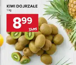 Stokrotka Market Kiwi oferta