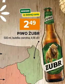 Stokrotka Market Piwo Żubr oferta