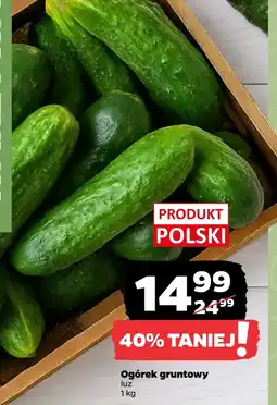Netto Ogórek Polski oferta