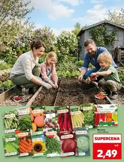 Kaufland Nasiona różne rodzaje oferta