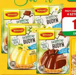 Dino Budyń różne rodzaje oferta