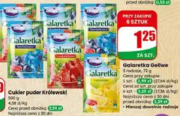 Dino Galaretka borówkowa oferta