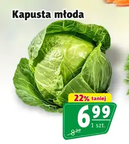 Prim Market Kapusta młoda oferta