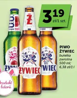 Groszek Piwo żywiec oferta