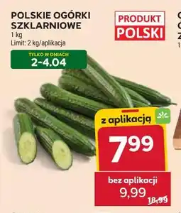 Stokrotka POLSKIE OGÓRKI SZKLARNIOWE oferta