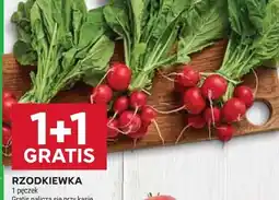 Stokrotka RZODKIEWKA 1 pęczek oferta