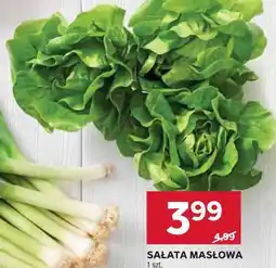 Stokrotka SAŁATA MASŁOWA 1 szt oferta