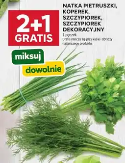 Stokrotka NATKA PIETRUSZKI, KOPEREK, SZCZYPIOREK, SZCZYPIOREK DEKORACYJNY 1 pęczek oferta
