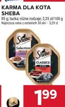 Stokrotka KARMA DLA KOTA SHEBA oferta