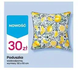 Pepco Poduszka oferta