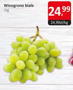 Market Point Winogrono białe oferta