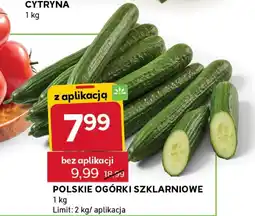 Stokrotka Express Polskie ogórki szklarniowe oferta