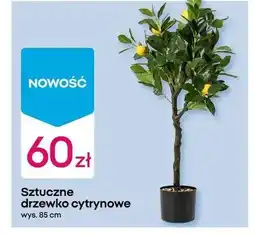 Pepco Sztuczne drzewko oferta
