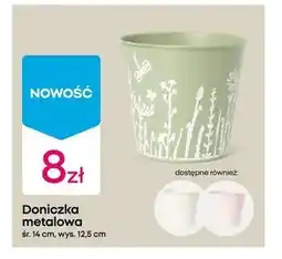 Pepco Doniczka oferta
