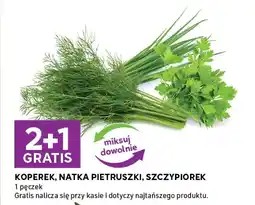 Stokrotka Express Koperek, natka pietruszki, szczypiorek oferta