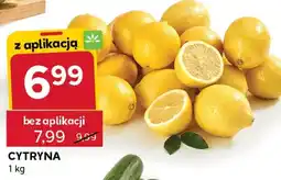 Stokrotka Express Cytryna oferta