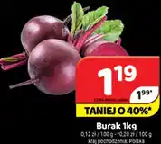 Delfin Burak oferta
