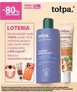Hebe tołpa oferta