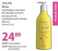 Hebe YOLYN Wow nawilżający szampon do włosów suchych, puszących się i pozbawionych blasku oferta