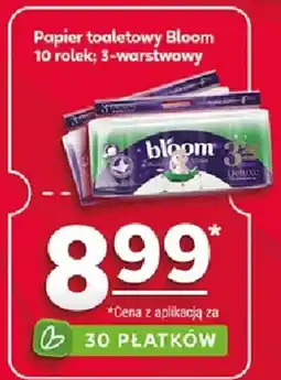 Stokrotka Papier toaletowy Bloom oferta