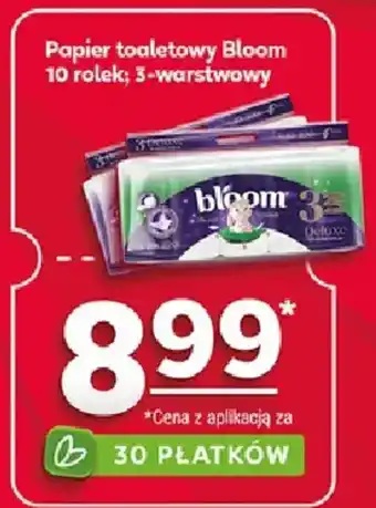 Stokrotka Papier toaletowy Bloom oferta