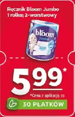Stokrotka Market Ręcznik Bloom Jumbo oferta