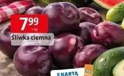 E.Leclerc Śliwka ciemna oferta