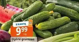 E.Leclerc Ogórki gruntowe oferta