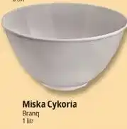 E.Leclerc Miska Cykoria oferta