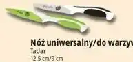 E.Leclerc Nóż uniwersalny/do warzyw Tadar 12,5 cm/9 cm oferta