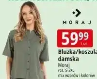 E.Leclerc Bluzka/koszula damska oferta