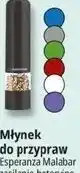 E.Leclerc Młynek do przypraw Esperanza Malabar zasilanie bateryjne oferta