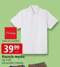 E.Leclerc Koszula męska oferta