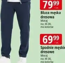 E.Leclerc Spodnie męskie dresowe oferta