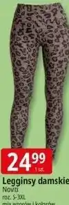E.Leclerc Legginsy damskie oferta