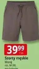 E.Leclerc Szorty męskie Moraj oferta