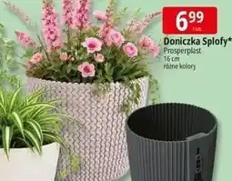 E.Leclerc Doniczka Splofy oferta