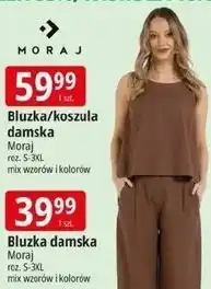 E.Leclerc Bluzka damska oferta
