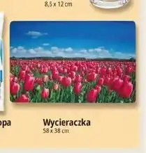 E.Leclerc Wycieraczka oferta