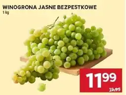 Stokrotka Winogrona jasne bezpestkowe oferta