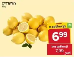 Stokrotka Cytryny oferta