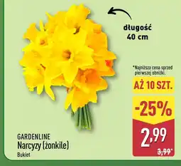 ALDI Żonkile Gardenline oferta