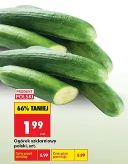 Biedronka Ogórek szklarniowy polski oferta