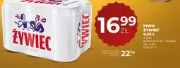 Duży Ben Piwo Żywiec oferta