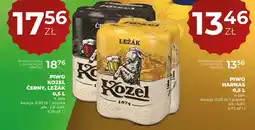 Duży Ben Piwo Kozel Černý, Ležák oferta