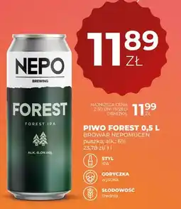 Duży Ben Piwo Forest oferta