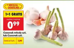 Biedronka Czosnek oferta